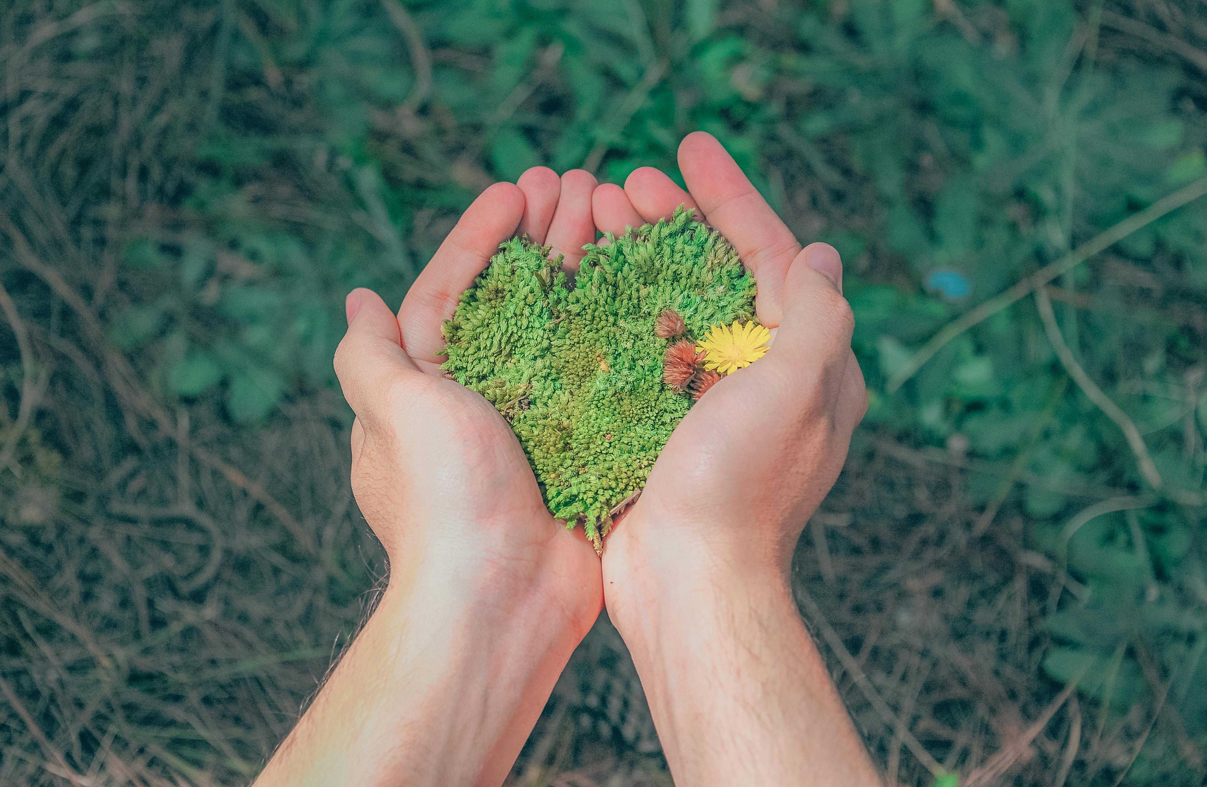 Sustainable Packaging Solutions